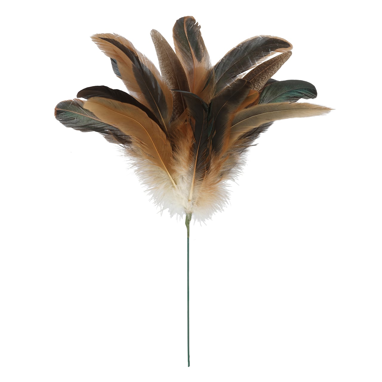 Natural Brown Pheasant Feather Pick by Ashland®